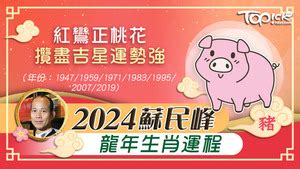 霧水桃花化解|2024年龍年布局｜蘇民峰教家居風水布局 趨旺財運桃 